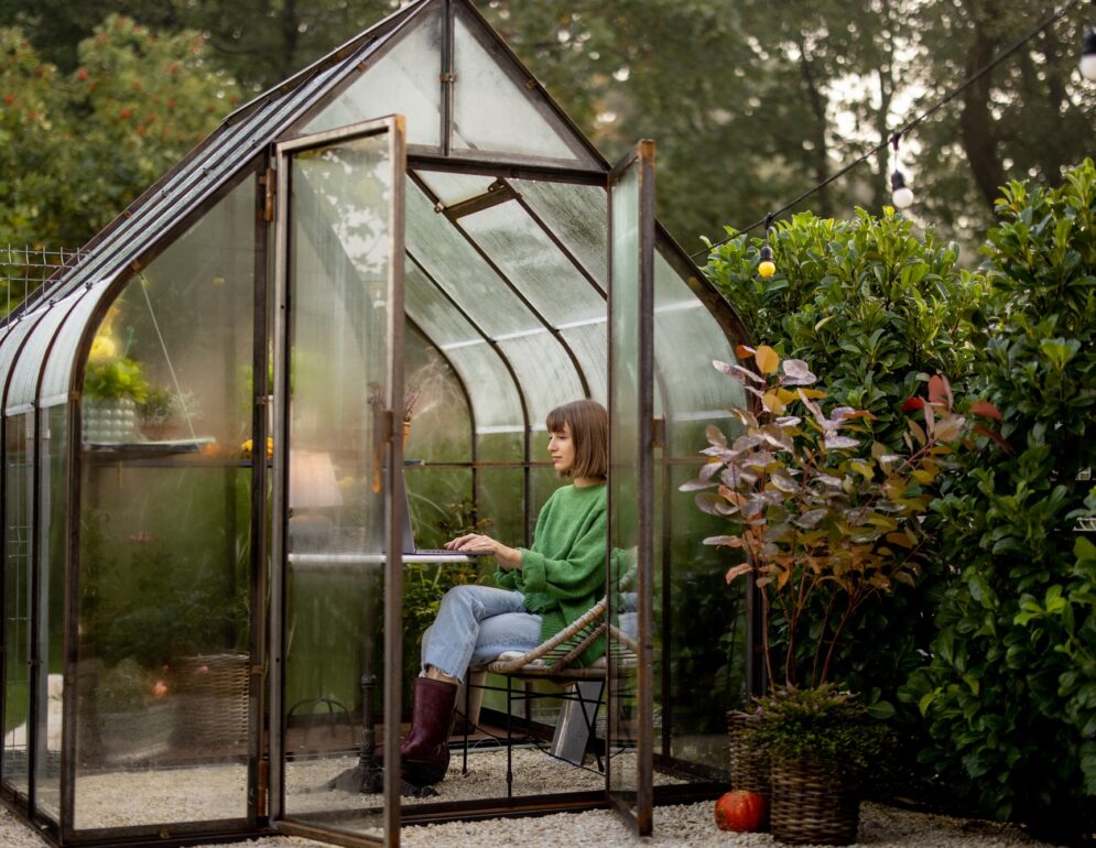 Woman works remotely on laptop in glasshouse at backyard